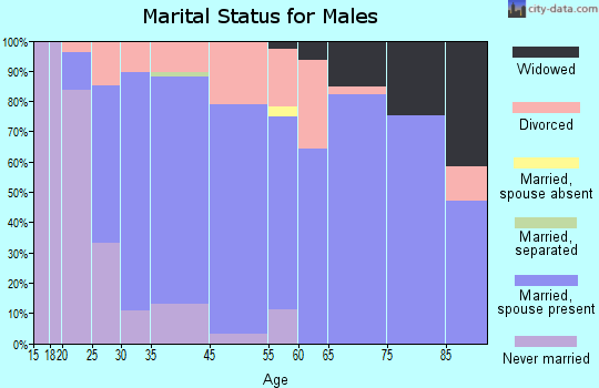 Tipp City marital status for males