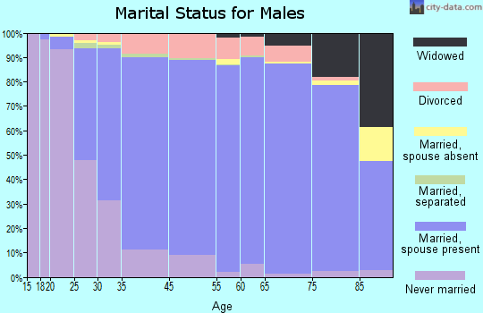 Upper Arlington marital status for males