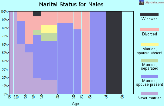 Valley Hi marital status for males