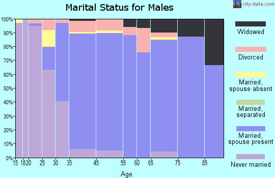 Valley View marital status for males