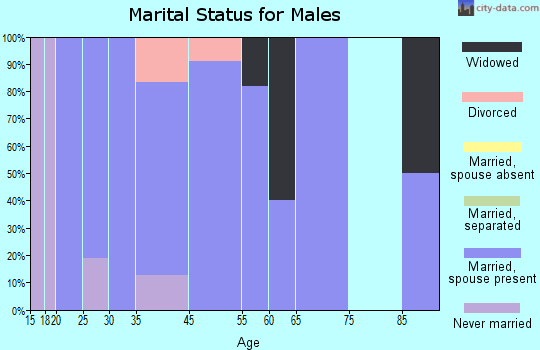 Van Buren marital status for males