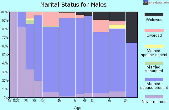 Waynesville marital status for males