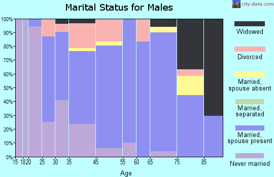 Wellington marital status for males