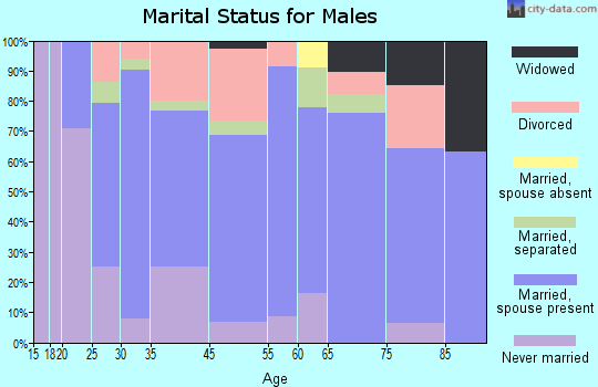 Wellsville marital status for males