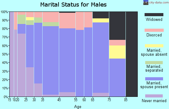West Jefferson marital status for males