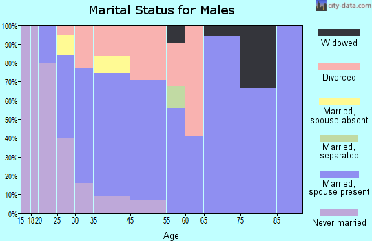Williamsburg marital status for males