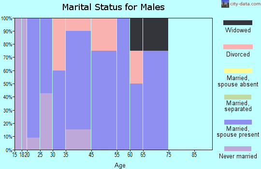 Wilmot marital status for males