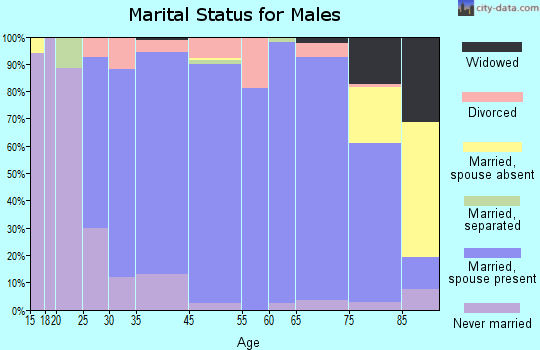 Woodbourne-Hyde Park marital status for males