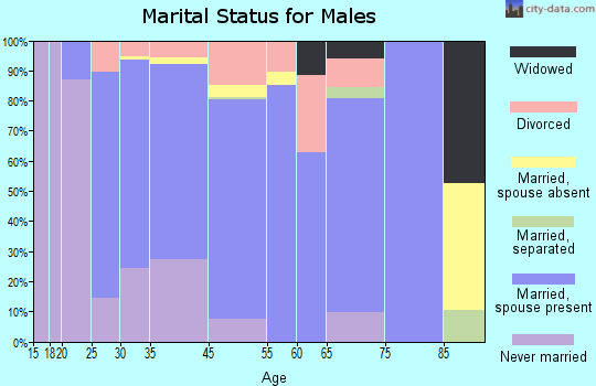 Woodsfield marital status for males