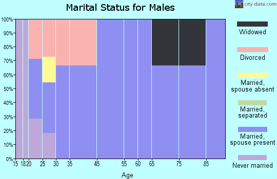Woodstock marital status for males