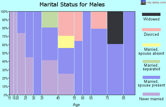 Challenge-Brownsville marital status for males
