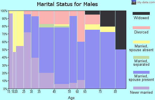 Yellow Springs marital status for males