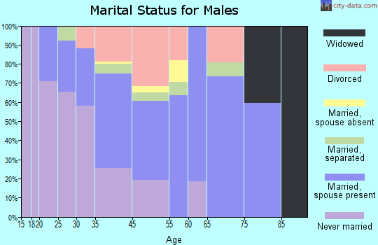 Channel Islands Beach marital status for males