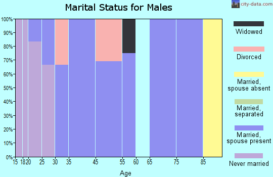 Zanesfield marital status for males