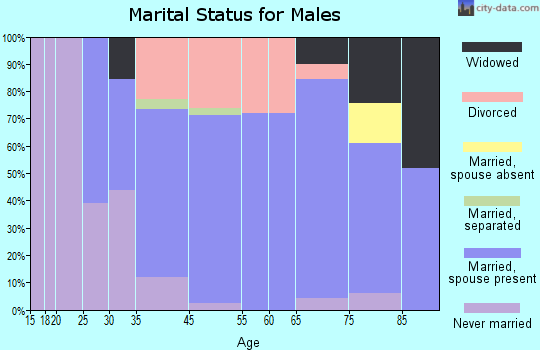 Chester marital status for males