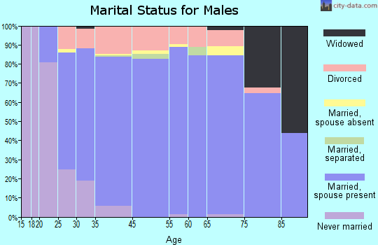 Bixby marital status for males