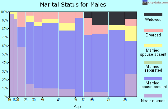 Boise marital status for males