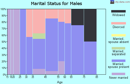 Braman marital status for males