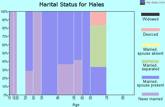 Briggs marital status for males