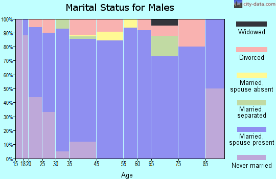 Burns Flat marital status for males
