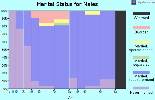 Central High marital status for males