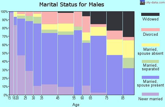 Clinton marital status for males