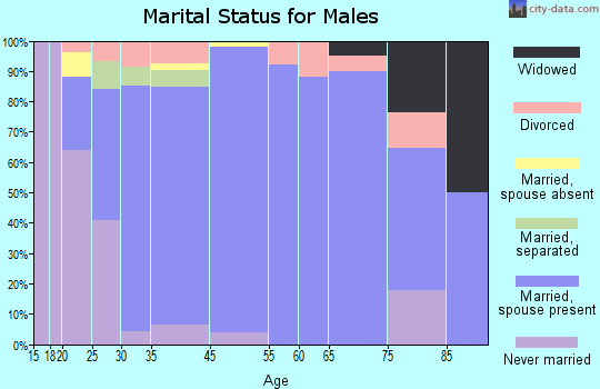 Elgin marital status for males