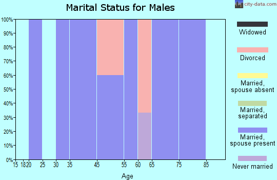 Elmer marital status for males