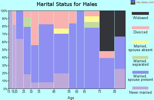Elmore City marital status for males