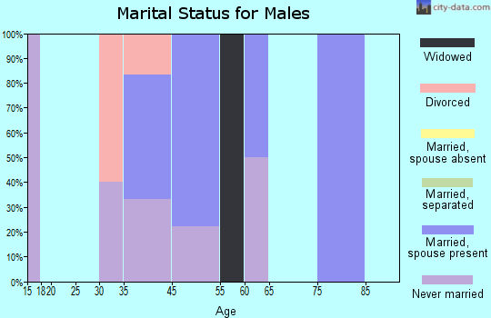Hendrix marital status for males
