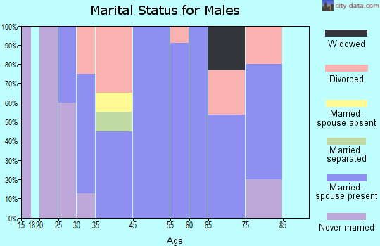 Ketchum marital status for males