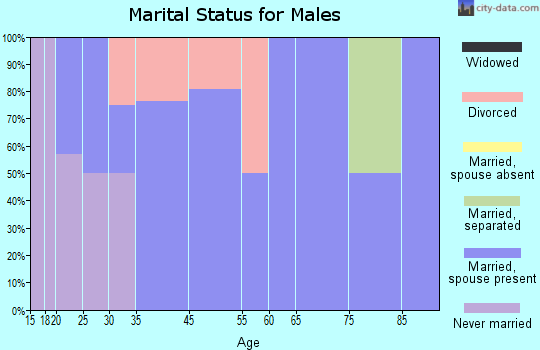 Kremlin marital status for males