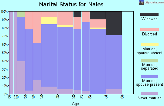 Longtown marital status for males