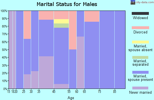 Medicine Park marital status for males