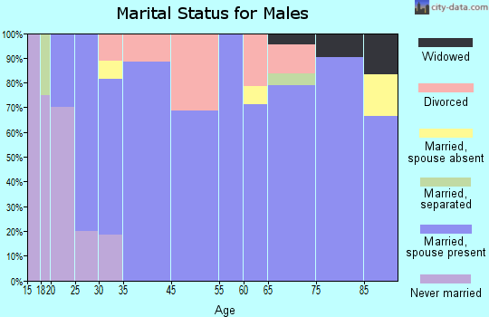 Mountain View marital status for males