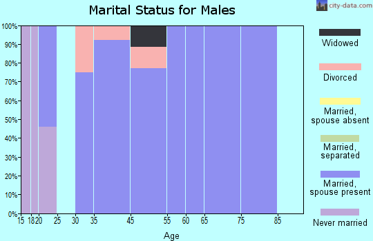 Remy marital status for males
