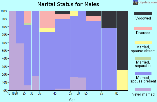 Shady Point marital status for males
