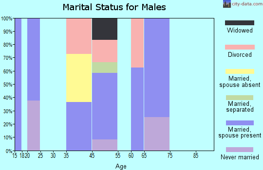 Shamrock marital status for males