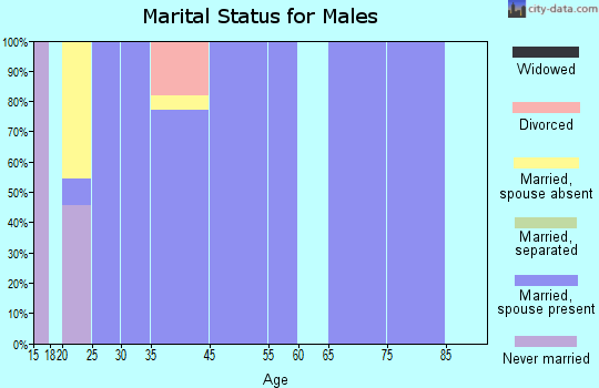 Silo marital status for males