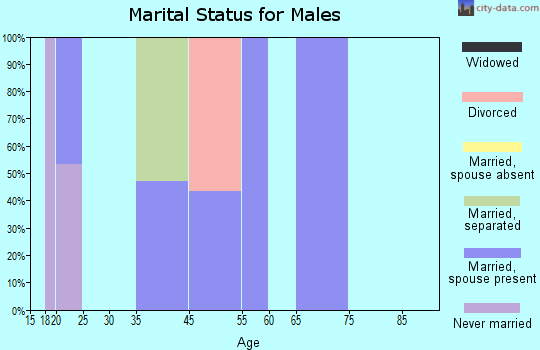 Snake Creek marital status for males