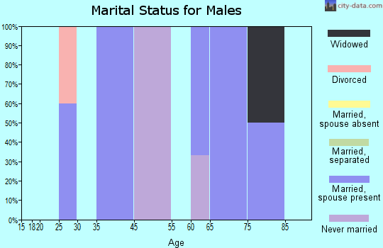 Swink marital status for males