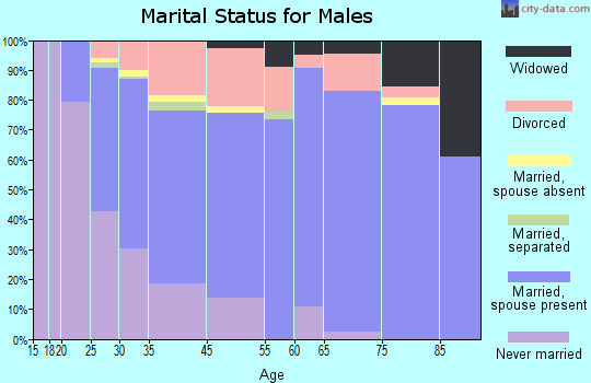 The Village marital status for males