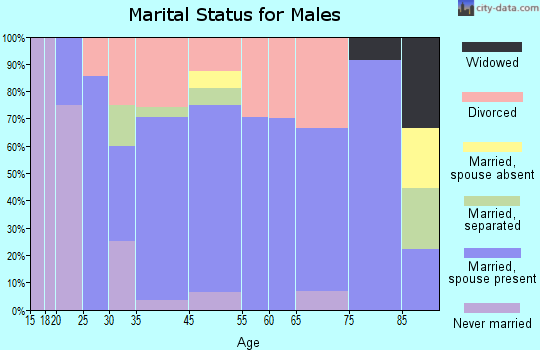 Webbers Falls marital status for males