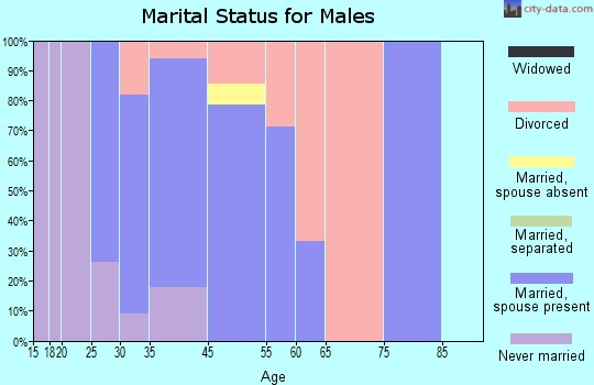 Adair Village marital status for males