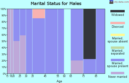 Adams marital status for males
