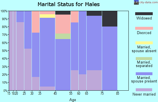 Arlington marital status for males