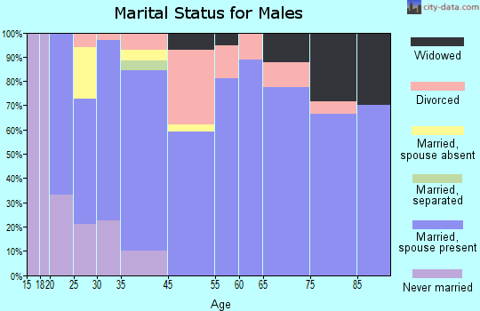 Bay City marital status for males