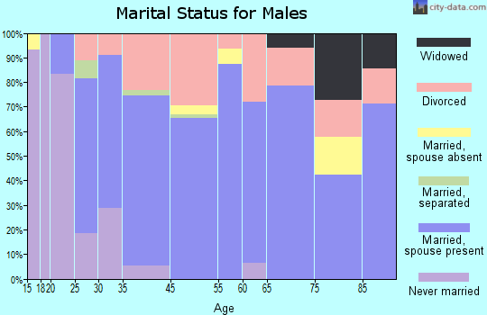 Brownsville marital status for males