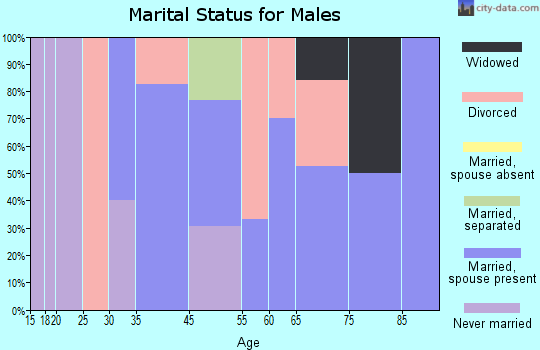 Detroit marital status for males