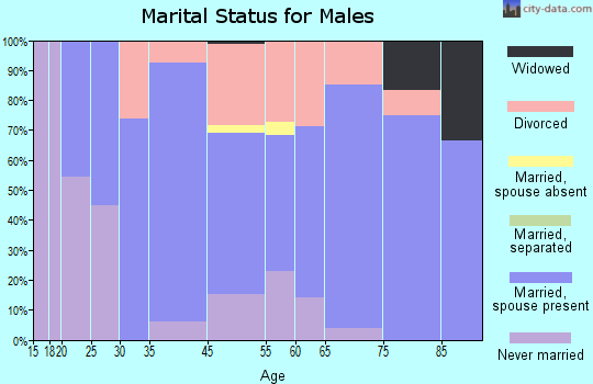 Falls City marital status for males